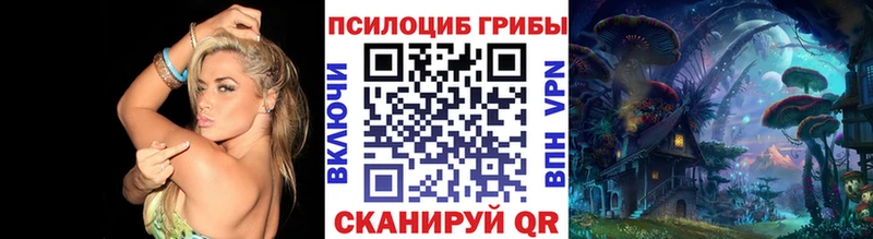 Псилоцибиновые грибы MAGIC MUSHROOMS  mega как зайти  маркетплейс какой сайт  Благовещенск 