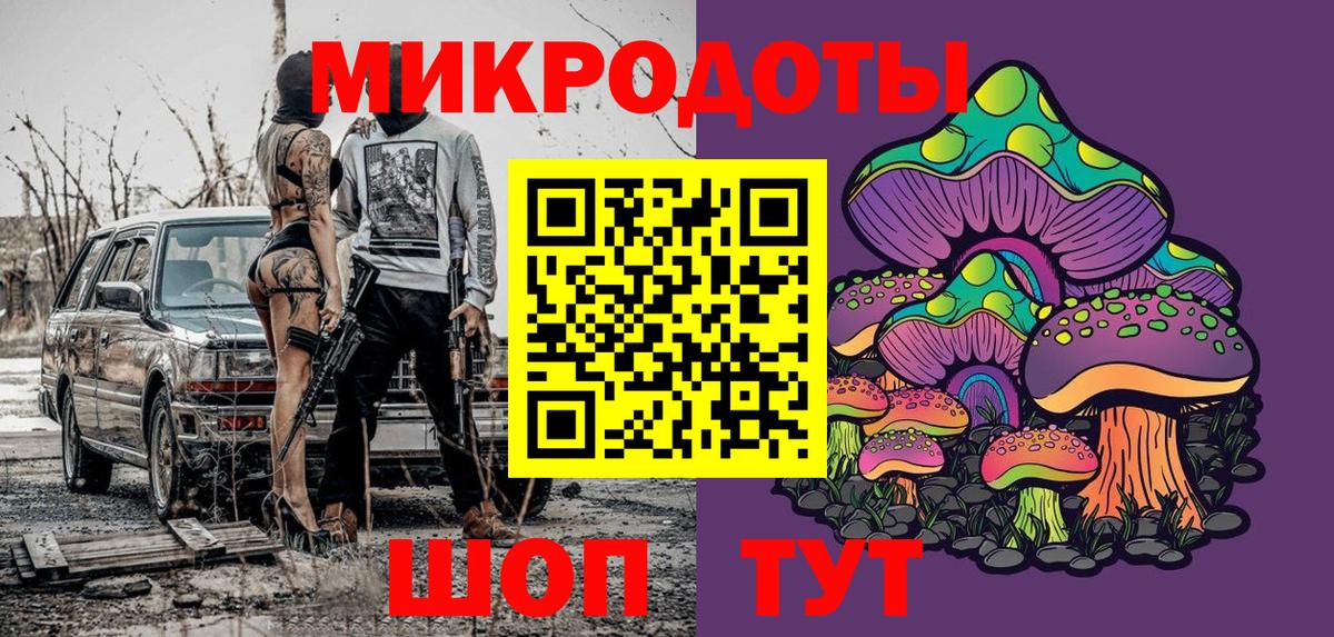 Галлюциногенные грибы Psilocybe Благовещенск