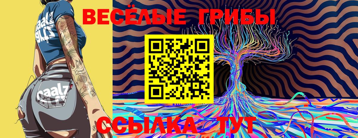 Псилоцибиновые грибы GOLDEN TEACHER  Галлюциногенные грибы Psilocybe  Вход с VPN  Благовещенск 